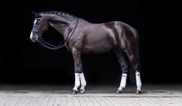 christ-x-saint-cloud-1.jpeg christ-x-saint-cloud-1.jpeg