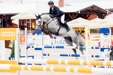 fei-jumper.jpg fei-jumper.jpg