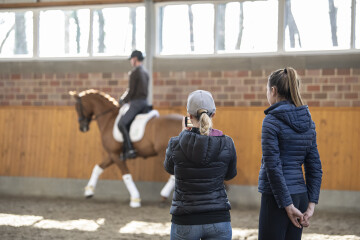 Horse Shopping Trips Horse Shopping Trips